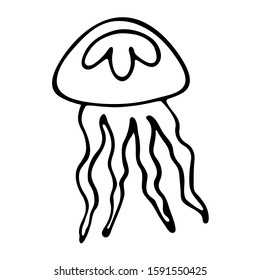 Hand drawn vector jellyfish isolated on white background. Black and white stock illustration.