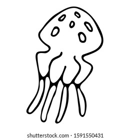 Hand drawn vector jellyfish isolated on white background. Black and white stock illustration.