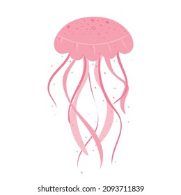 Hand drawn vector jellyfish. Sea nettle; jellyfish; Vector illustration.