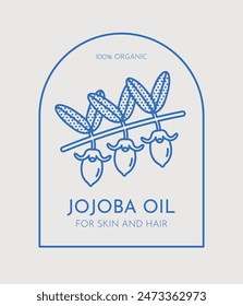 Hand drawn vector jojoba illustration. Line art, retro. Plants and herbs for cosmetics. Logo template.