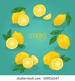 Hand drawn vector juicy lemons illustration