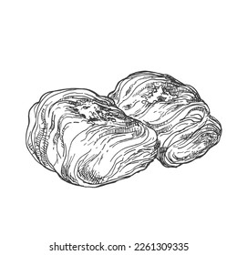 Vector de mano dibujado Kadayif línea de postre turco ilustración. Dulce knafeh, postre de nueces con crema de queso y jarabe, comida tradicional de la calle de Turquía. Pastel oriental de kataifi, imágenes de pasteles