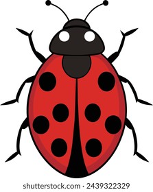 Hand drawn vector ladybug illustration