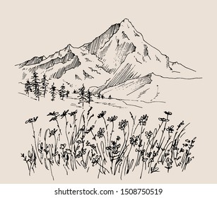 Hand drawn vector landscape with mountains, trees and flowers in mountain valley.  