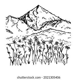 Hand drawn vector landscape with mountains, trees and flowers in mountain valley. Mountain peak icon logo design minimalist. 