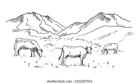 Hand drawn vector landscape with mountains
 and cows grazing in the meadow in the valley. Ideal for banner, poster and sticker design.