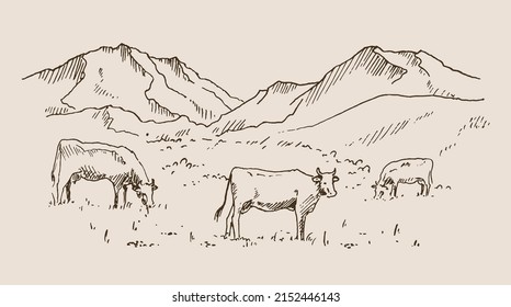 Hand drawn vector landscape with mountains and cows grazing in the meadow in the valley. Ideal for banner, poster and sticker design.