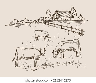 Hand drawn vector landscape with village house and cows grazing in the meadow. Ideal for banner and packaging design.