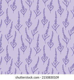 Doodles de lavanda de vectores dibujados a mano, lindo patrón floral púrpura, baldosas repitiendo sin costura.