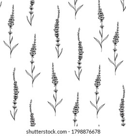 Flor de lavanda vectorial dibujada a mano sin costura. Perfecto para fondos de pantalla, fondos de página web, texturas superficiales, textiles.