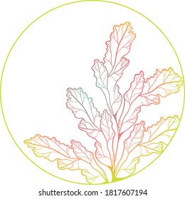 Hand drawn vector leaves in circle with gradient stroke. Vector design element 
