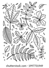 Juego de imágenes prediseñadas de hojas vectoriales dibujadas a mano. Aislado en el plano de fondo blanco para impresiones, afiches, papel lindo, diseño de viajes. Ilustración del vector