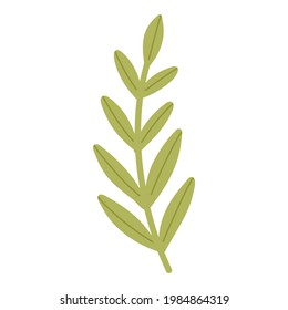 Hand drawn vector leaves summer branch. White background. Isolated. Colorful green engraving technique