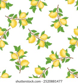 Hand drawn vector lemon seamless pattern. Branch with lemon fruits, leaves and flowers.  Сitrus.  Vector illustration. Great for poster, menu or label.