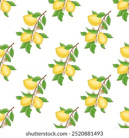 Hand drawn vector lemon seamless pattern. Branch with lemon fruits, leaves and flowers.  Сitrus.  Vector illustration. Great for poster, menu or label.