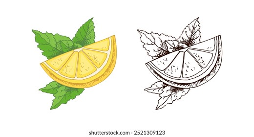 Hand drawn vector lemon sketch. Blossom plant with leaves. Lemon slice. Сitrus. Orange, 
grapefruit. Vector illustration. Great for poster, menu or label.