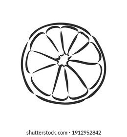 Hand drawn vector lemon slice, piece, on light background. lemon, vector sketch illustration