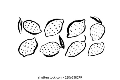 Hand drawn vector lemons. Collection of ink illustrations. Abstract lemon drawings. Doodle and sketch style illustrations isolated on white background. Citrus collection with dots on peel.