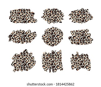 Hand drawn vector leopard pattern textured ink brush strokes, black paint spot set with leo texture. Animal paint smears artistic backgrounds. Stains shapes and silhouettes design element.