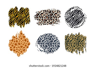 Handgezeichneter Vektorleopard, Zebra, Geparden, Tiger und Giraffen strukturierte Pinselstriche bilden künstlerische Hintergründe. Paint Spots mit tierischen Hautmustern Textur. Gestaltungselement festhalten.