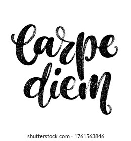Hand drawn vector lettering. Words Carpe Diem by hand. Isolated vector illustration. Handwritten modern calligraphy. Inscription for postcards, posters, prints, greeting cards.