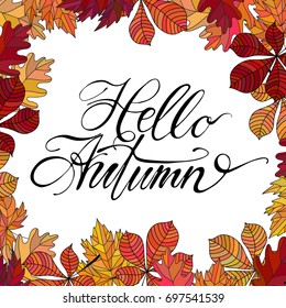 Hand drawn vector lettering. Words Hello Autumn by hand with autumn leaves on background. Vector illustration. Handwritten modern calligraphy. For postcards, posters, prints, greeting cards.