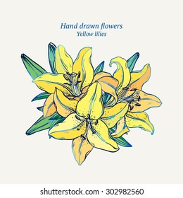 Hand drawn vector lilies