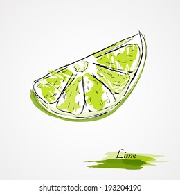  Hand Drawn Vector Lime, Citrus Fruit Slice, Piece, On Light Background