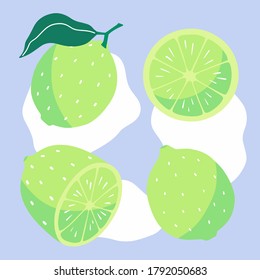 Hand drawn vector limes set. Colorful limes illustration isolated on a violet background. Separate objects collection.