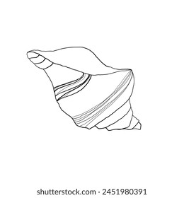 Handgezeichnete Vektorgrafik Linie Kunst-Illustration von Sea Shell auf isoliertem Hintergrund. Zeichnung von Jakobsmuschel und Seestern auf Umrissstil. Skizze von Cockleshell mit schwarzer Tinte bemalt. Unterwasserkunst