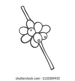 Hand drawn Vector line icon of coffee tree plant linear logo. Outline symbol for cafe, bar, shop.