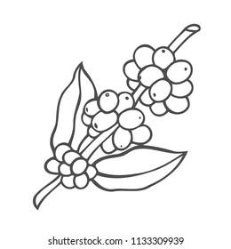 Hand drawn Vector line icon of coffee tree plant linear logo. Outline symbol for cafe, bar, shop.