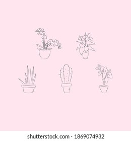 Hand drawn vector line illustration set of home plants