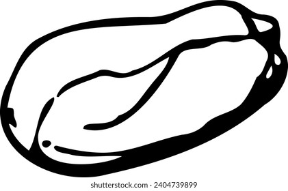 Hand drawn vector line illustration of cleaned pistachio.