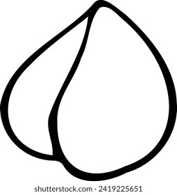 Hand drawn vector line illustration of shelled hazelnut.