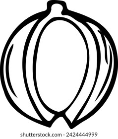 Hand drawn vector line illustration of macadamia isolated on a white background.