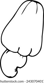 Hand drawn vector line illustration of a whole cashew.