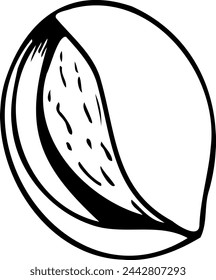 Hand drawn vector line illustration of almond in peel.