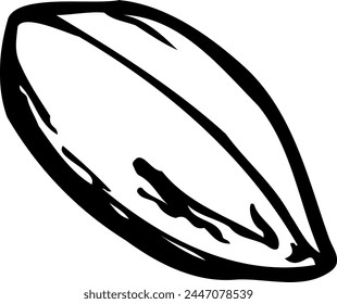 Hand drawn vector line illustration of a peanut.