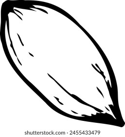 Hand drawn vector line illustration of pecan nut with shell isolated on a white background.
