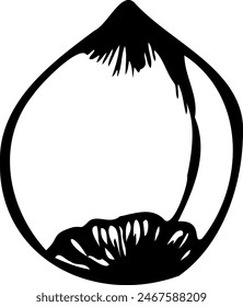 Hand drawn vector line illustration of a hazelnut in a shell.