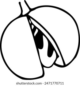 Handgezeichnete Vektorgrafik Linie Illustration von Muskatnuss mit rissiger Schale auf einem weißen Hintergrund.
