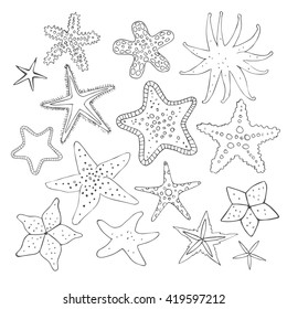 Hand drawn vector line sea star set. Doodle line starfishes