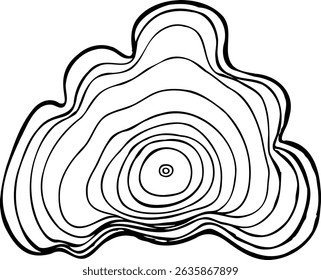 Hand drawn vector line wood texture of wavy ring pattern from a slice of tree isolated on a white background.