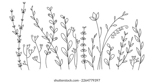 Hand drawn vector linear glade of tall grass. Beautiful floral background for postcards, congratulations, invitations. Gentle, spring meadow. Abstract flowers, plants, grass for coloring and design