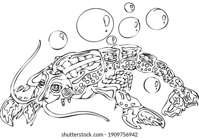 A hand drawn vector lobster with bubbles. A sample of colouring pages for children and adults. Illustration of oceanic and sea creatures.
