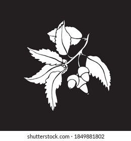 Hand drawn vector logo, branch oak with three acorn, white illustration on the black background, silhouette, graphic element