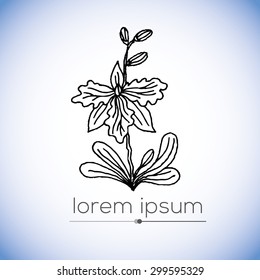 - hand drawn vector logo (illustration, ink drawing, sign, symbol, icon). Part of nature coloring book set