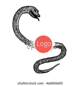 Hand drawn vector logo with snake.