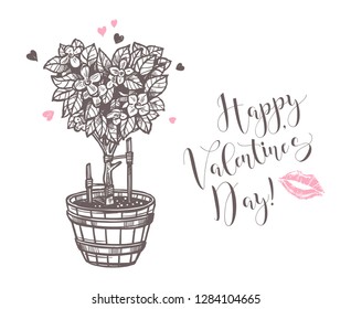 Hand drawn vector love illustration, wedding and Valentines Day card with young tree in the shape of a heart with flowers in wooden pot. Vintage retro sketch style with seedling. Engraving template